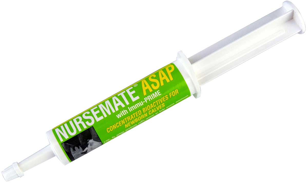 Nursemate® Calf Syringe, 30 mL