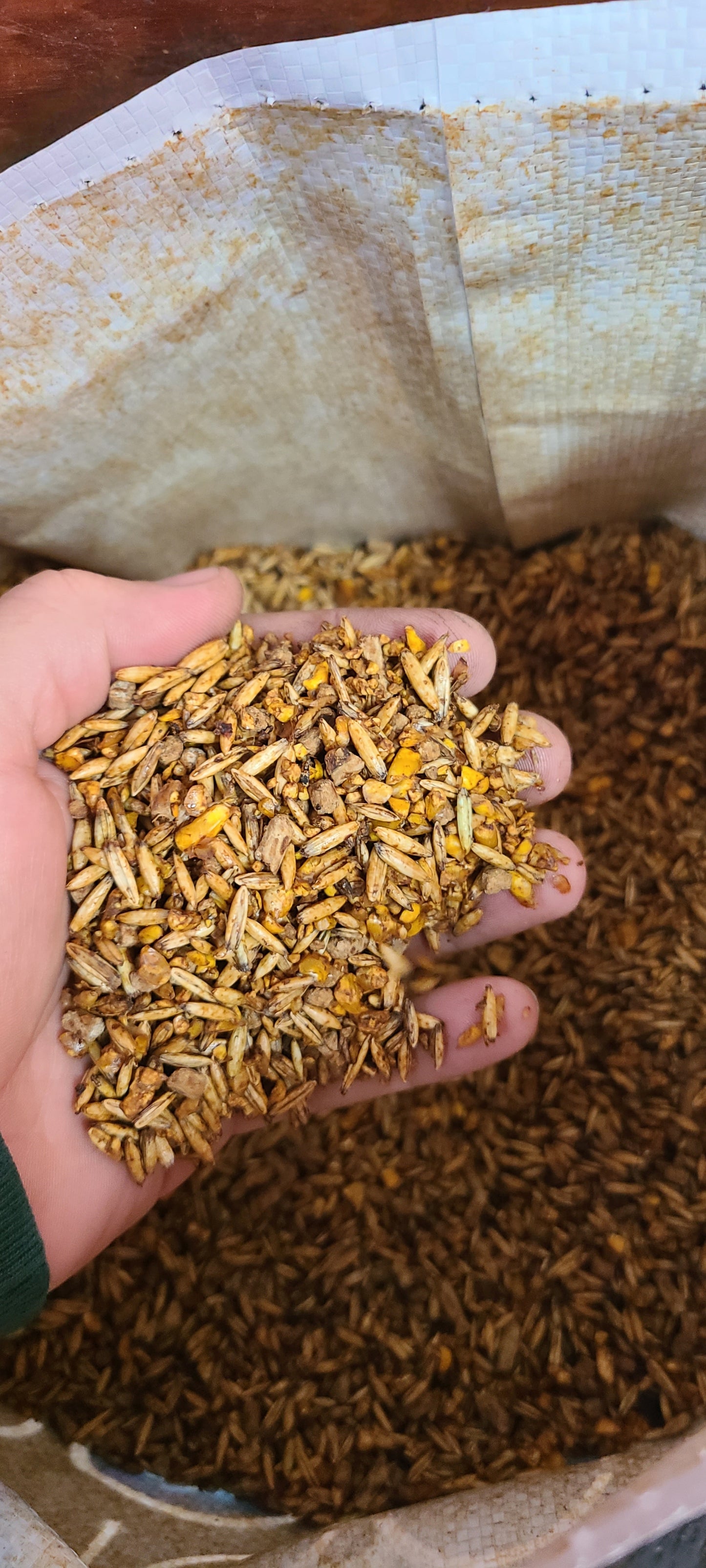 Moore Power Performance 100 Thomas Moore Feeds