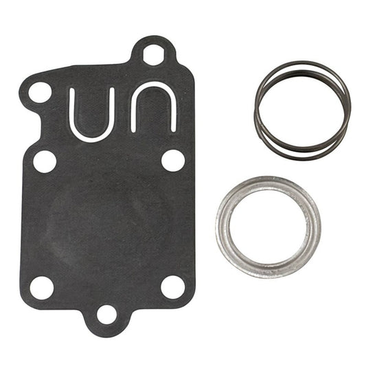 Briggs & Stratton 5021K Diaphragm Kit 2-5 Horsepower