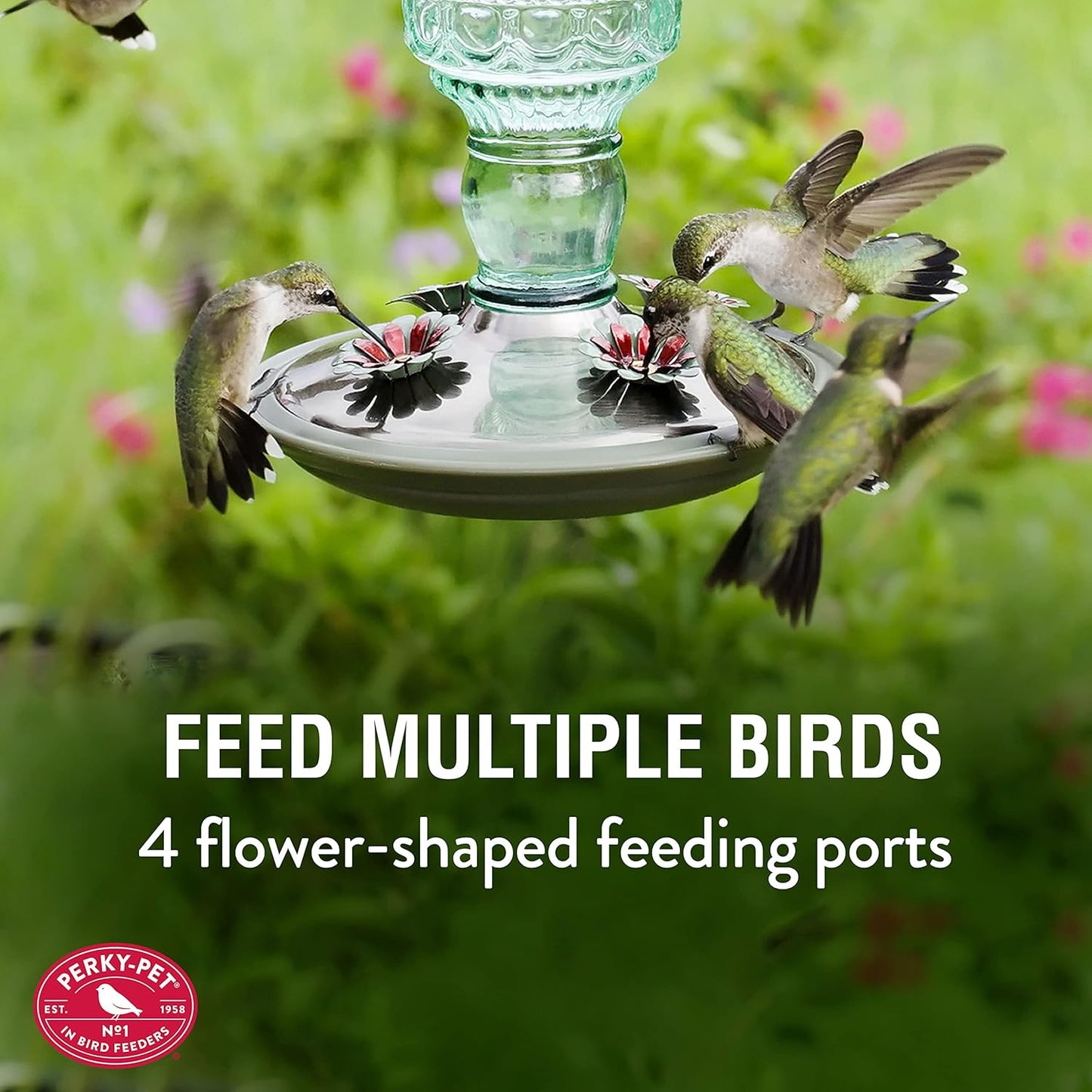 Perky-Pet Hummingbird Glass Nectar Feeder 4 ports