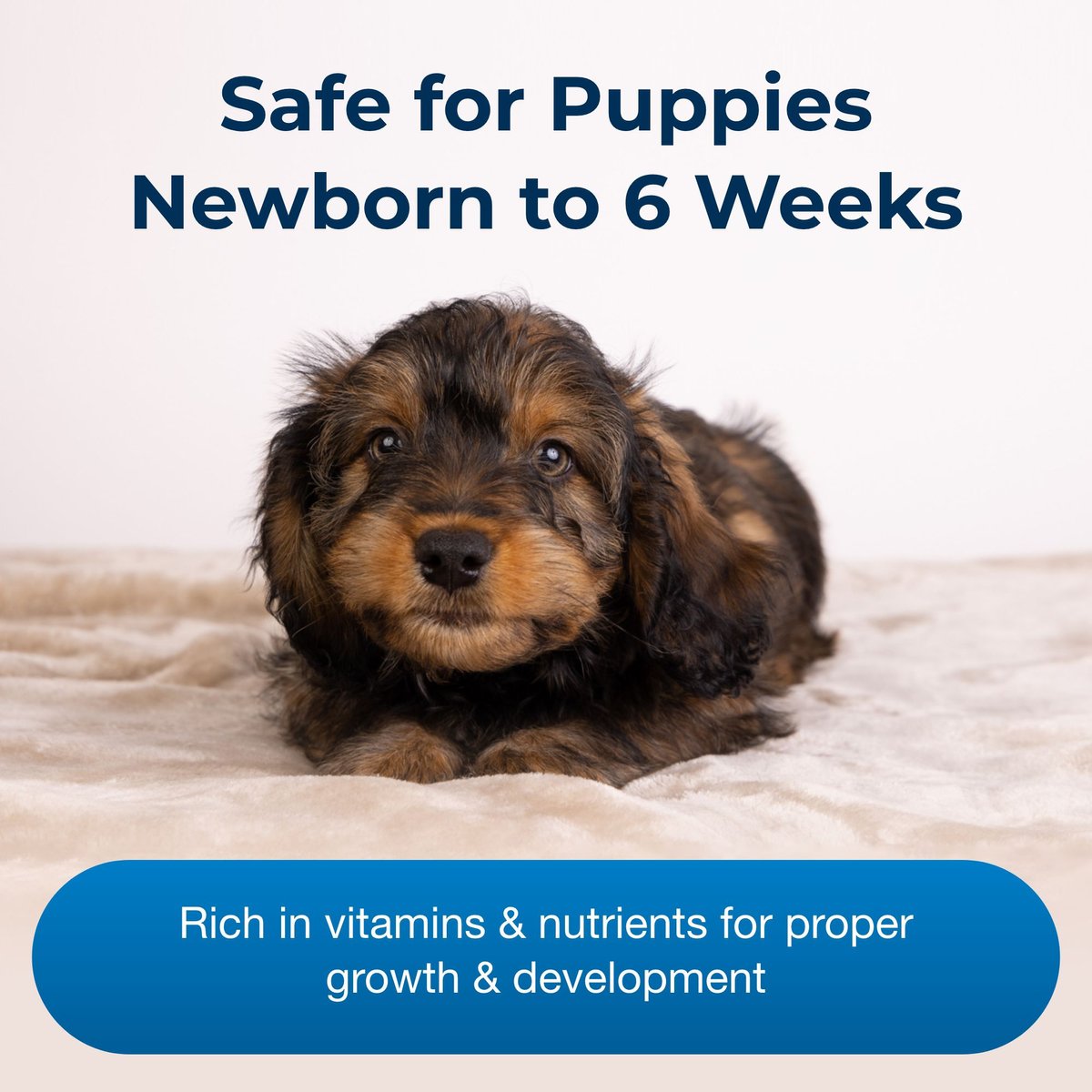 PetAg Esbilac Puppy Milk Replacer Powder for Puppies, 12-oz can