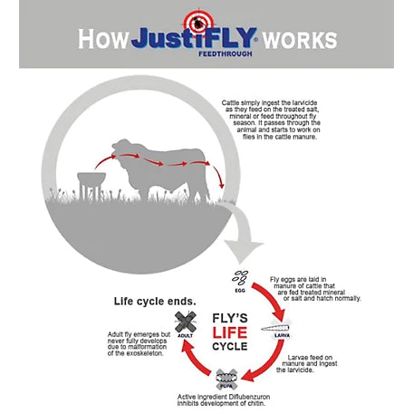 JUSTIFLY FEEDTHROUGH FOR CATTLE AND CALVES ADDITIVE 12.7 OZ.