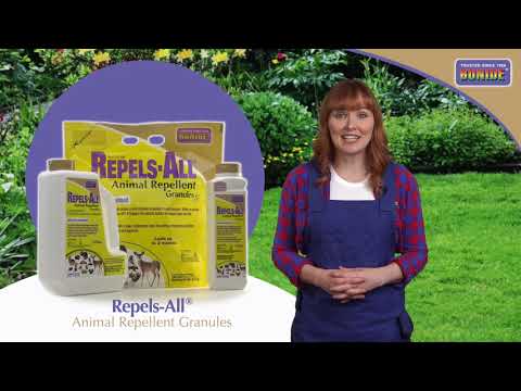 Bonide 23606 Shot-Gun Repels All Granules 1-1/4 Pound