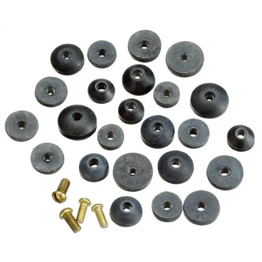 Plumb Pak PP805-21 Faucet Beveled Washer And Screw Assorted