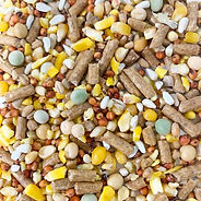 GALLO CAMPE'ON GAME BIRD CONDITIONER RATION 50# - Thomas Moore Feed