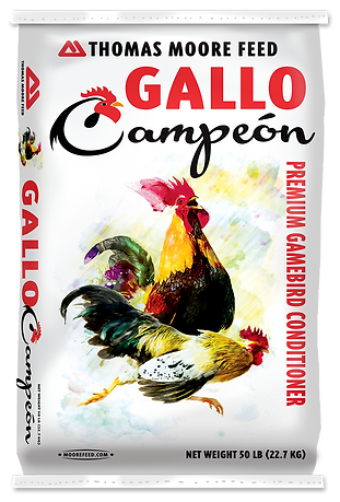 GALLO CAMPE'ON GAME BIRD CONDITIONER RATION 50# - Thomas Moore Feed