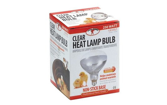 Little Giant Clear Heat Lamp, 250 Watt