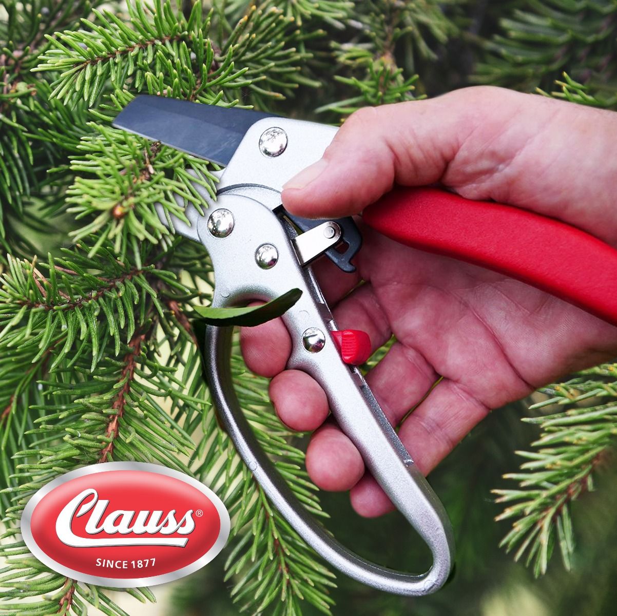 Clauss 8" Pruner - Heavy Duty, Ratchet Action
