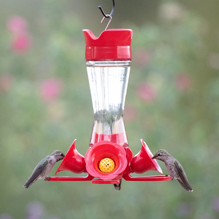 Perky-Pet® Pinch-Waist Glass Hummingbird Feeder 8 OZ