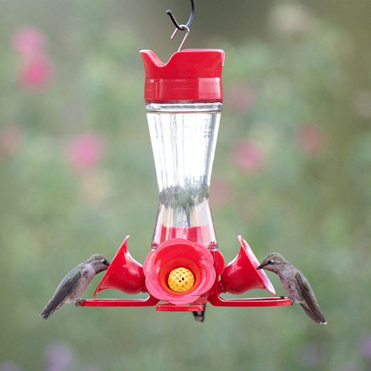 Perky-Pet® Pinch-Waist Glass Hummingbird Feeder 8 OZ