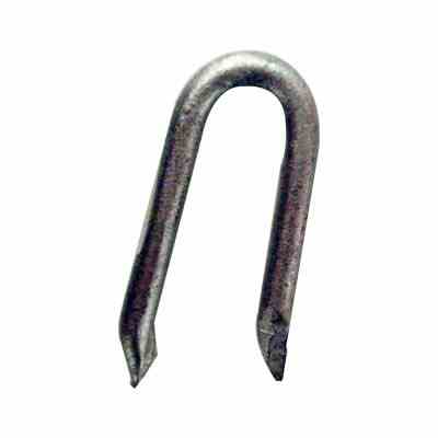 Grip-Rite 3/4 in. L Electro-Galvanized Poultry Netting Staples 1 lb.