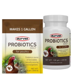 Durvet® Healthy Flock® Probiotics Daily : 4gm PKTS