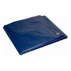 Economy Tarp Blue