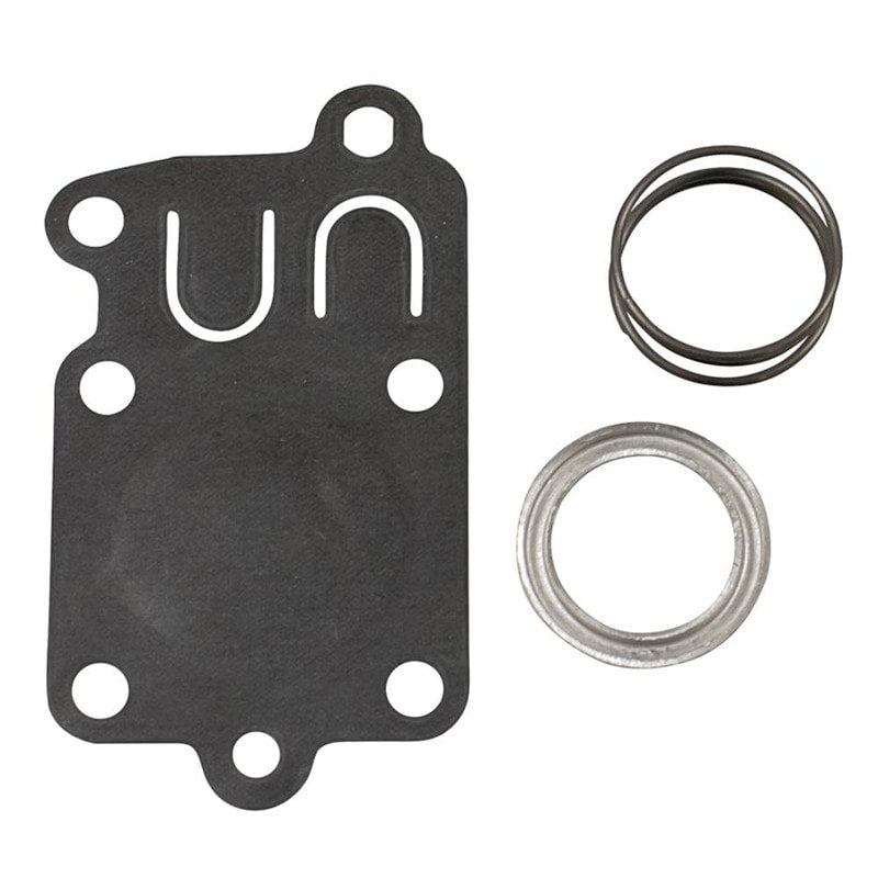 Briggs & Stratton 5021K Diaphragm Kit 2-5 Horsepower