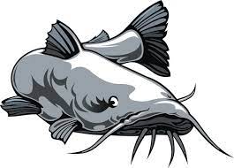 FLOATING CATFISH FOOD 32% 50# - WENDLAND'S FEED