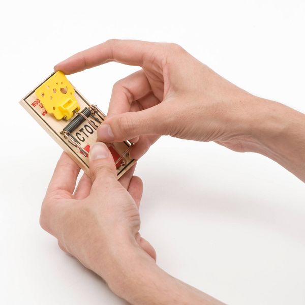 Victor Easy Set Mouse Traps - 2pk