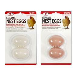 NEST EGGS BROWN OR WHITE - LITTLE GAINT