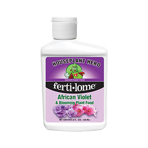 HOUSEPLANT AFRICAN VIOLET 8 OZ-BLOOMING : 8 OUCE