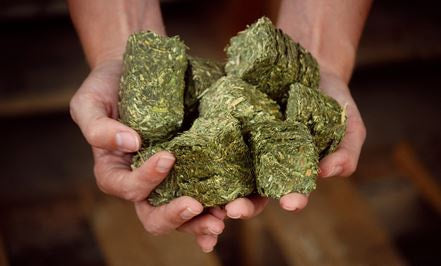 PREMIUM ALFALFA CUBE 50#