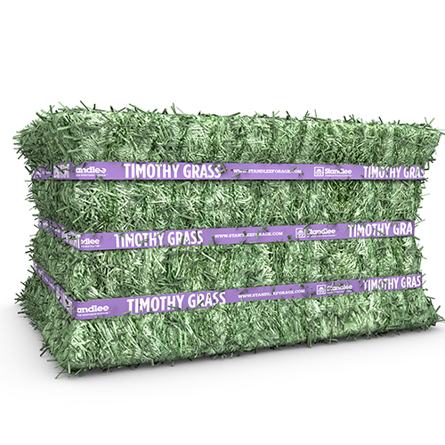 Premium Timothy Grab & Go Compressed Bale - 50 lb – Steglich Feed ...