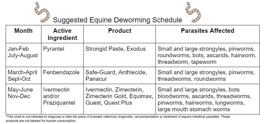 Zimectrin Equine Dewormer