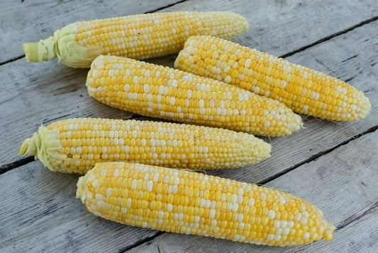 Corn, Sweet Funks G90 1/2 #