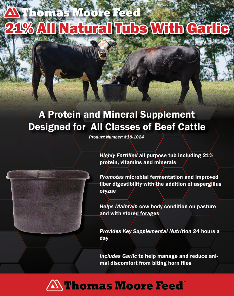 Thomas Moore 21% Cooked Protien Tub with Garlic