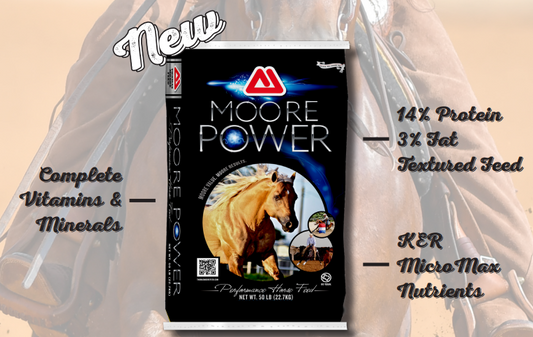 Moore Power Performance 100 Thomas Moore Feeds