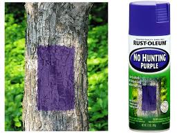 No Hunting Spray Paint, Purple, 12-oz