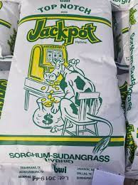 SEED HAYGRAZER JACKPOT 50#-50# BAG