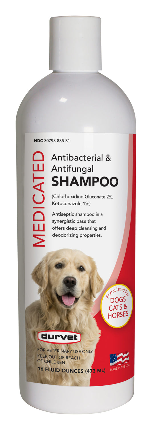 ANTIBACTERIAL & ANTIFUNGAL MEDICATED SHAMPOO 16oz.