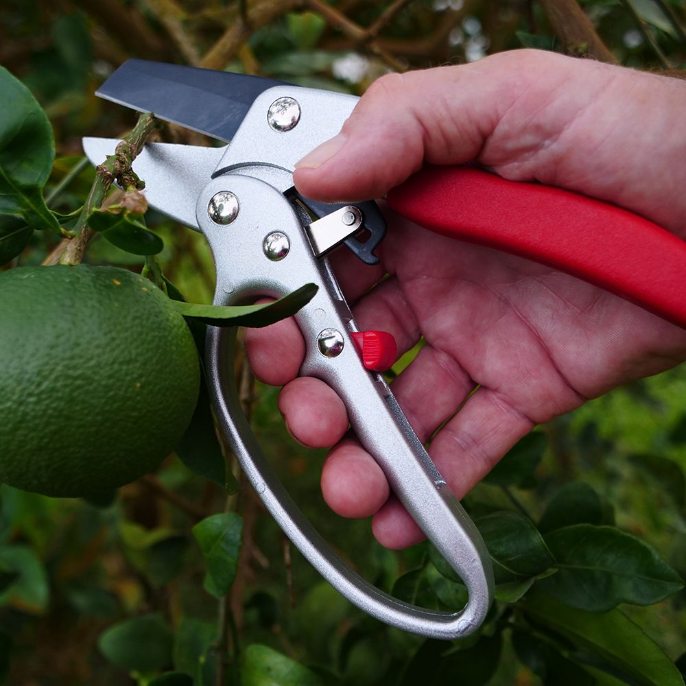 Clauss 8" Pruner - Heavy Duty, Ratchet Action