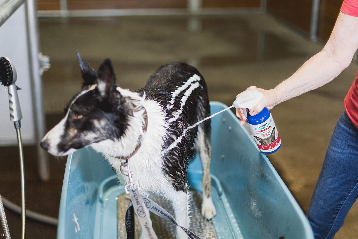 Vetericyn® FoamCare™ Shampoo - Medicated