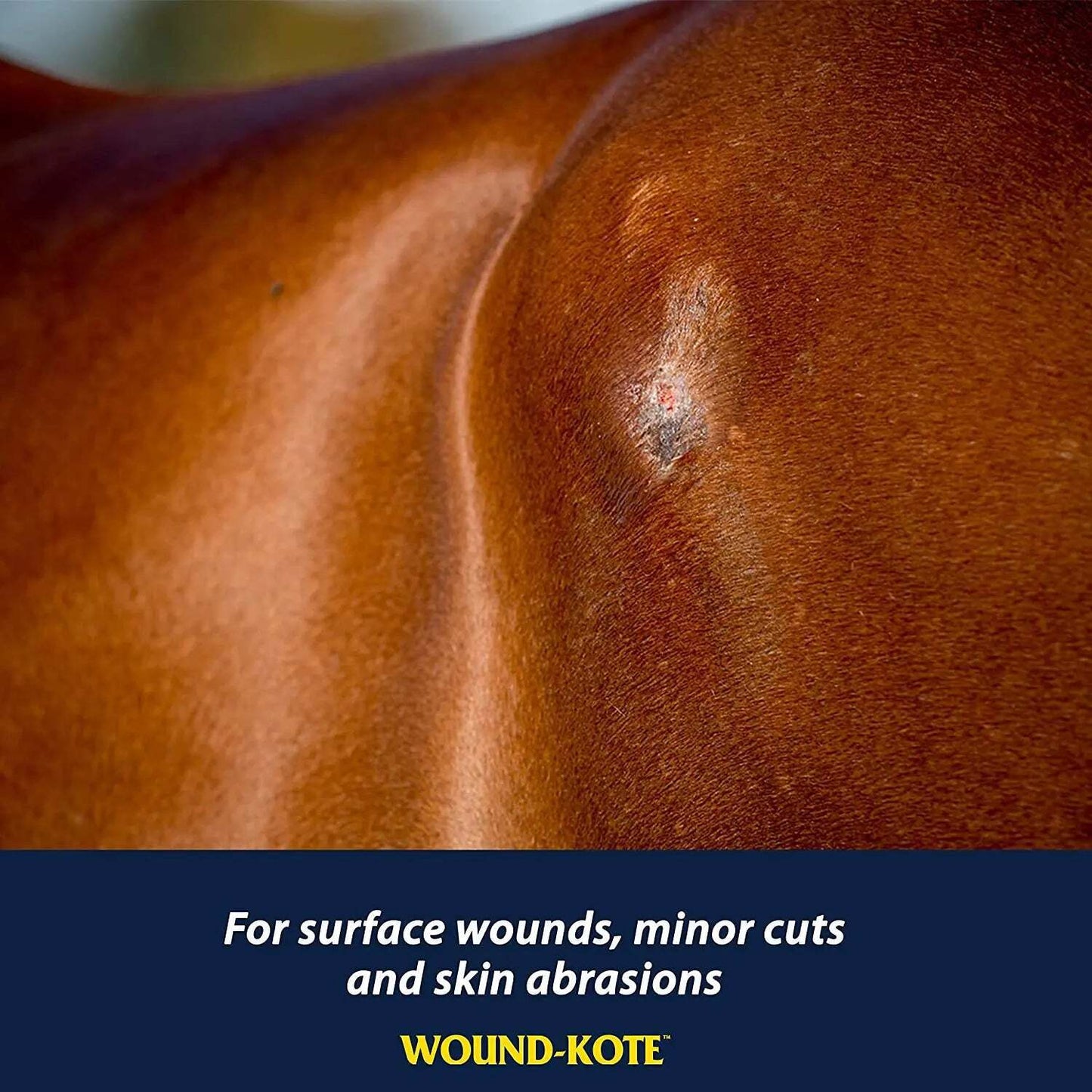 Farnam 7-Ounce Wound Kote Blue Lotion Aerosol Spray