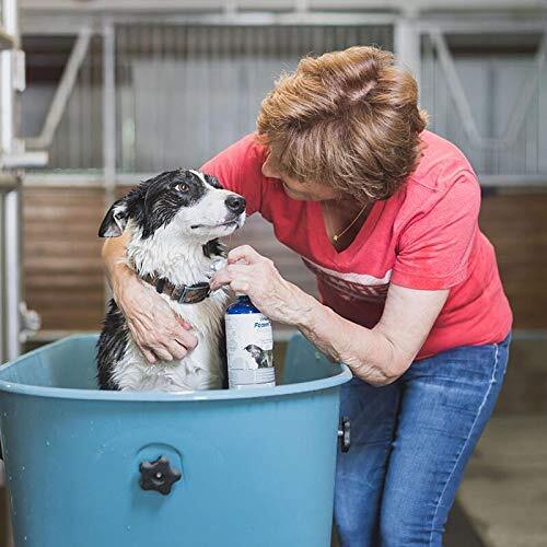 Vetericyn® FoamCare™ Shampoo - Medicated