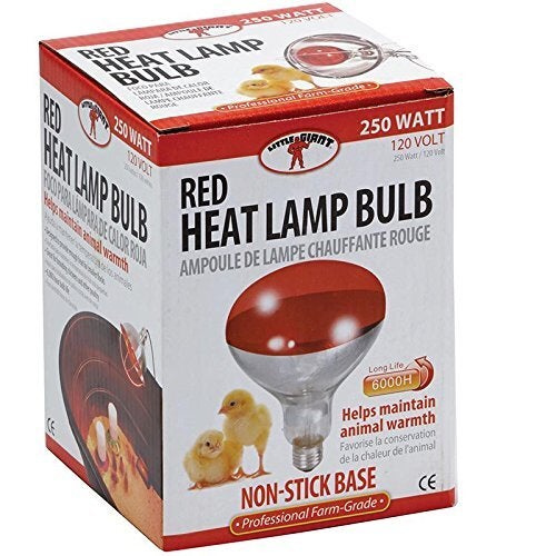 Little Giant Clear Heat Lamp, 250 Watt