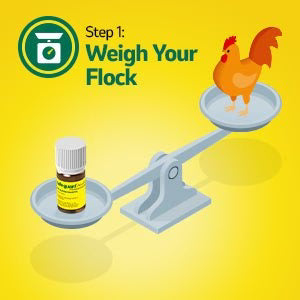 Safe-Guard AquaSol Dewormer for Backyard Chickens, 3ml